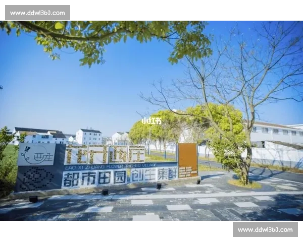 法斗滑板宽窄巷！成都萌宠又添新网红打卡地